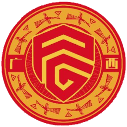 深圳青年人