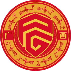 广西平果U21